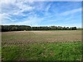 Farmland near Kelham