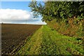 Track along the field edge