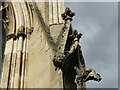 SE5703 : Doncaster Minster - gargoyles by Stephen Craven