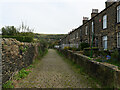 The alley at the back of Westbourne Terrace, Halifax