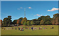 Soccer practice: Crystal Palace Park