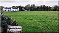 View from north side of road east of Great Orton of Mains Fauld houses