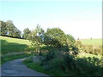 SK2354 : Wirksworth Dale, a road east from Brassington by David Smith