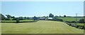 Harvested meadow on the south side of the A25 between Burrenbridge and Kilcoo