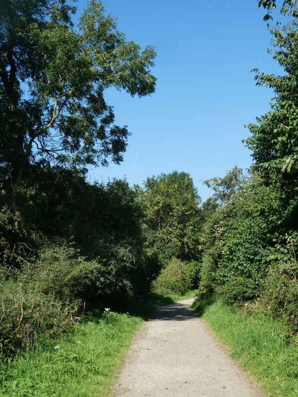 Cycle route in woodland north of... © David Smith cc-by-sa/2.0 ...