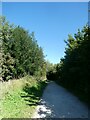 Cycle route near Shiningford Farm