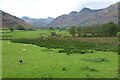 NY3106 : Great Langdale by Philip Halling