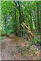 Path, Ashplats Wood