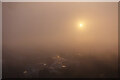 NT2274 : Misty Sunrise by Anne Burgess