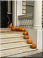 Pumpkin steps