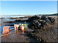 NT6479 : Coastal East Lothian : Storm debris, Belhaven beach by Richard West
