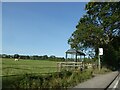 Bus shelter on A52 east of Hangingbridge