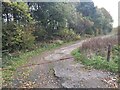 Gated track near Clonmacate Farm