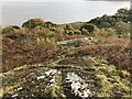 Exposed rock above Crinan Ferry