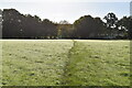 Footpath across field