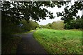 Cycle path near Blatchford Mews