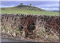 Old Milestone by the Old Military Road, Easthill, Lochrutton parish