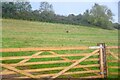 Nettlecombe : Field