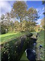 Canal lock at Forge Hammer