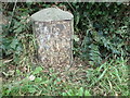 Milestone on Llansteffan Road