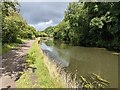 A quiet stretch of canal