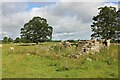 East Matfen medieval village and open field system (site of)