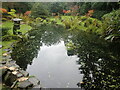 The Japanese Garden in Broadview Gardens