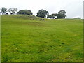 Farmland near Llangain