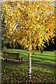 Autumn, Perth Crematorium