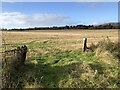 Stubble, Glenalmond