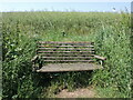 A bench near Shirenewton