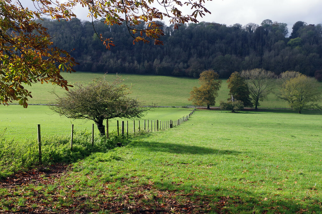 Marden Park © Stephen Mckay Cc-by-sa 2.0 :: Geograph Britain And Ireland