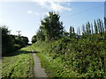 Footpath to Sims Lane