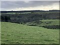 Fields, Glen Almond