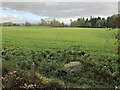 Field near Logie House