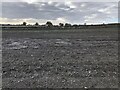 NO0229 : Potato field, Drumharrow by Richard Webb