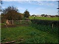 Gate to field of New House Farm, Lucton