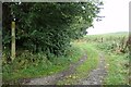 TL8436 : Bridleway to Butler's Hall Farm & Hedingham Road by Geographer