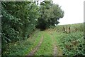 TL8436 : Bridleway to Butler's Hall Farm & Hedingham Road by Geographer