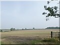 Fields on Burton Wolds