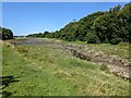 Cosheston Pill at low tide