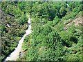 Path in the Tolskithy Valley