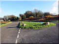 Ynys werdd ar yr heol / A green island on the road