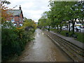 The River Leen at Bulwell