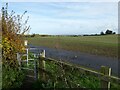 Footpath across farmland near Pitchcroft