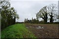 Footpath approaching Green Lane