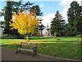 SP3165 : Autumn in Jephson Gardens Royal Leamington Spa by Roy Hughes