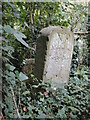 Old Boundary Marker beside the A370 Rhodyate Hill