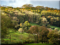 Rhiwarthen hillside