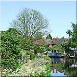 SO8697 : Canal near Castlecroft in Wolverhampton by Roger  D Kidd